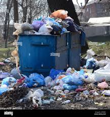 Best Carpet Removal and Disposal  in Darmstadt, IN